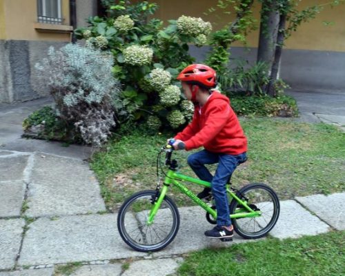 Gio-article-600x449